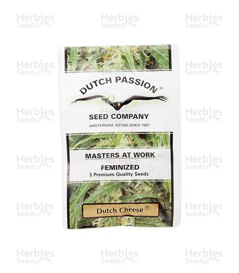 Dutch Cheese feminized: seeds for sale, strain information and customer ...