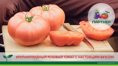КРУПНОПЛОДНЫЙ РОЗОВЫЙ ТОМАТ С НАСТОЯЩИМ ВКУСОМ – СКВОРЕЦ F1 - YouTube