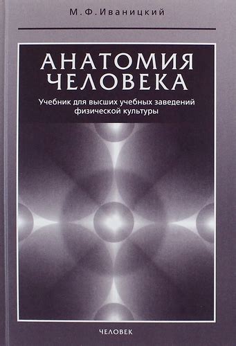 Купить Учебник По Анатомии Сапин - smoothspecification