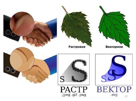 Растровая и векторная графика