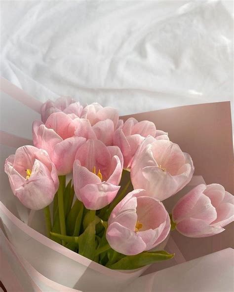 Pin by Fanesha Aprilianti on Simpan Cepat | Pink flowers, Pretty ...