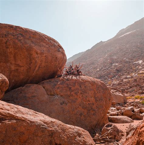 10 Best Botswana and Namibia Tours & Trips 2024/2025 - TourRadar