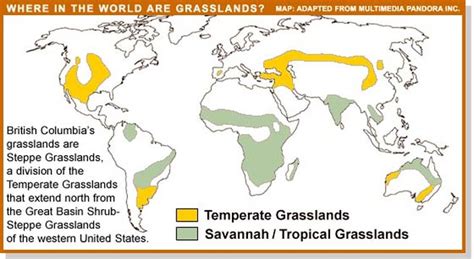 Locations - The Grasslands