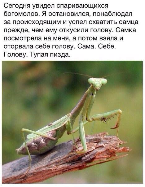 Подборка прикольных картинок и фотографий-46