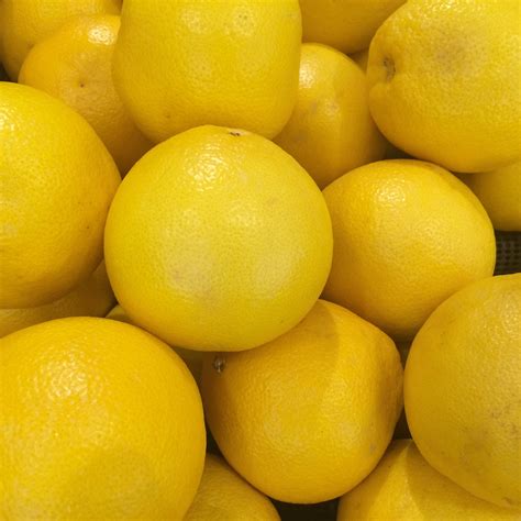 orange yellow fruit