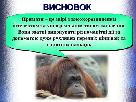 ПРИМАТИ - презентація з біології