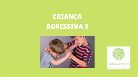 Criança Agressiva Na Escola O Que Fazer - 5