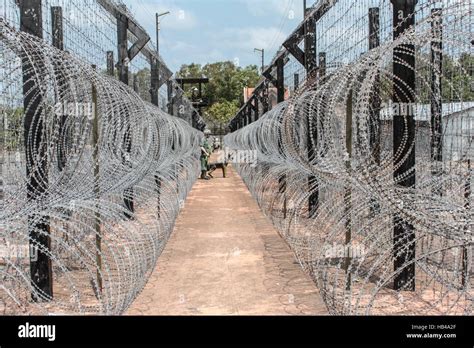 barb wire fence. guarded border Stock Photo - Alamy