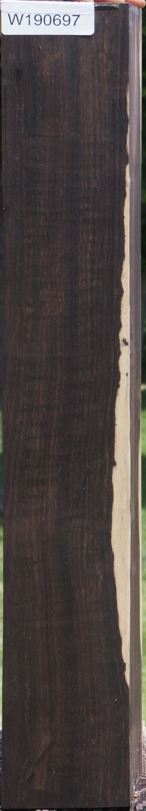 Blackwood – Cook Woods