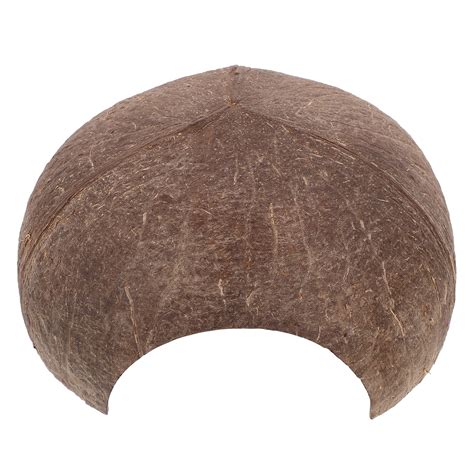 tips for lizard hiding fast 6