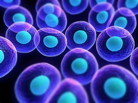cell  cell communication teaches   human society