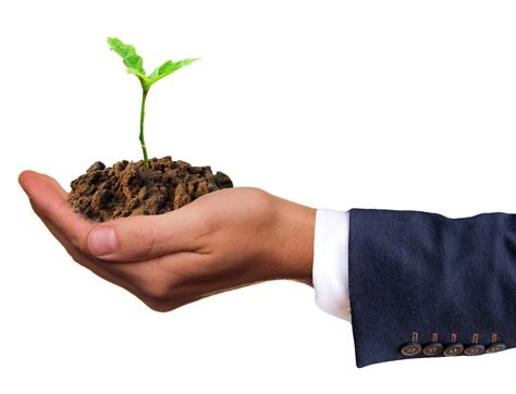 Evident Traits Of Naturalistic Intelligence | Total Assignment Help