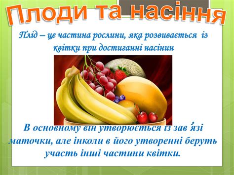 презентація " Плоди. Поширення плодів."