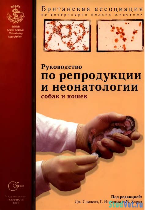 Акушерство и гинекология | Ветеринарный портал - StudVet.ru