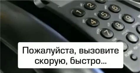 Необычный звонок в полицию - Поросёнка.нет