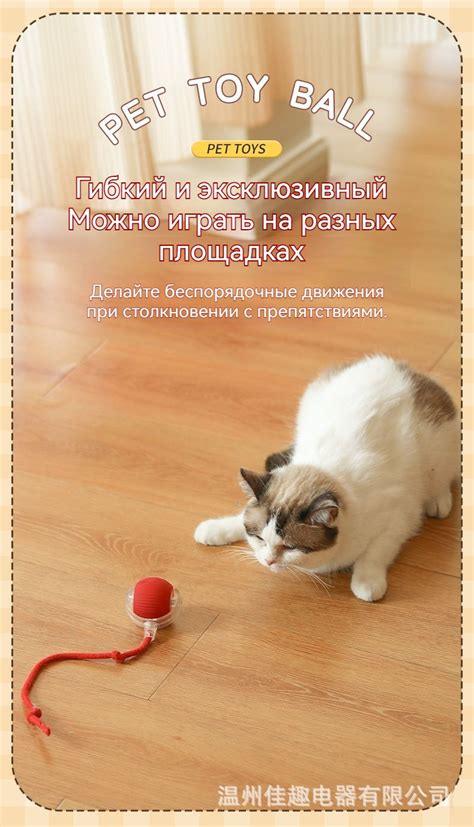 Интерактивная игрушка для животных/Игрушка для кошек и собак мелких ...