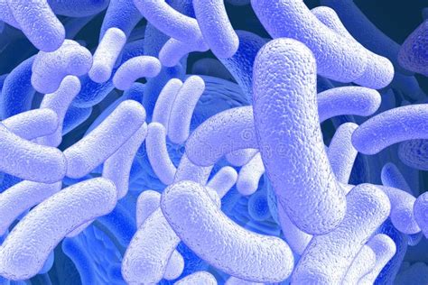 Bacillus microorganisms stock illustration. Illustration of macro - 8812105