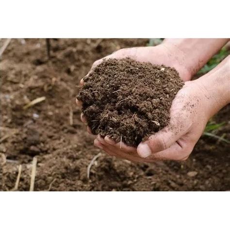 Esterco Bovino Adubo Orgânico Para Hortaliças Plantas 1 Kilo | Shopee ...