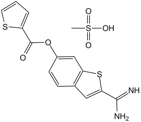 Serine Protease - Proteases - Signaling Pathways