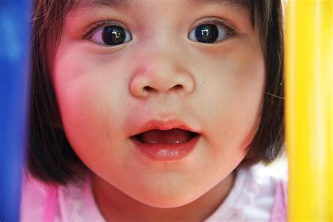 girl, childhood, fun, happiness, park, kid, preschooler, joy, laughter ...