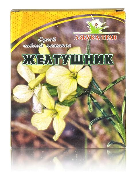 Желтушник - саженцы, семена
