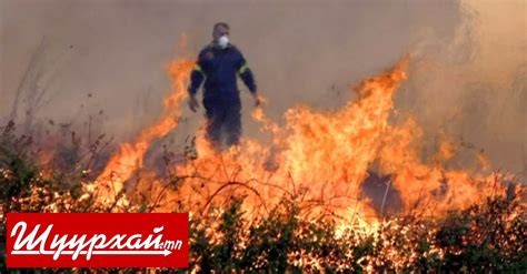 Дэлхийн дулаарал хурдсаж байгааг тогтоожээ