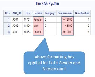 sas proc format predefined  user defined format  sas