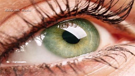 Olhos Verdes Esmeralda Natural - Cores de olhos, Olhos verdes, Olhos bonitos