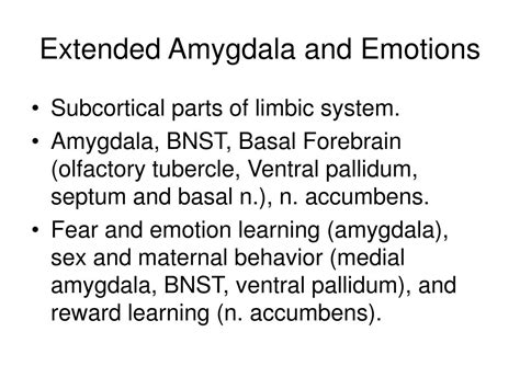 PPT - Fear, Anxiety Disorders and Amygdala PowerPoint Presentation - ID ...