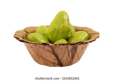 834 Terminalia Chebula Stock Photos, Images & Photography | Shutterstock