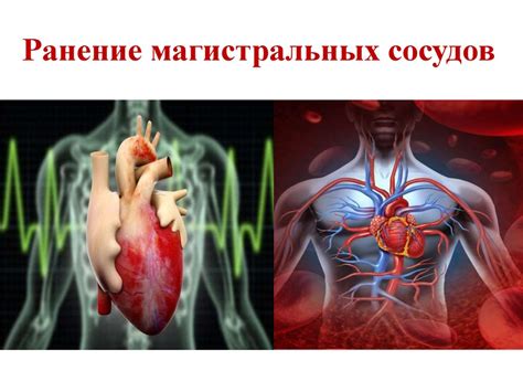 Топографическая анатомия и оперативная хирургия сердца - презентация онлайн