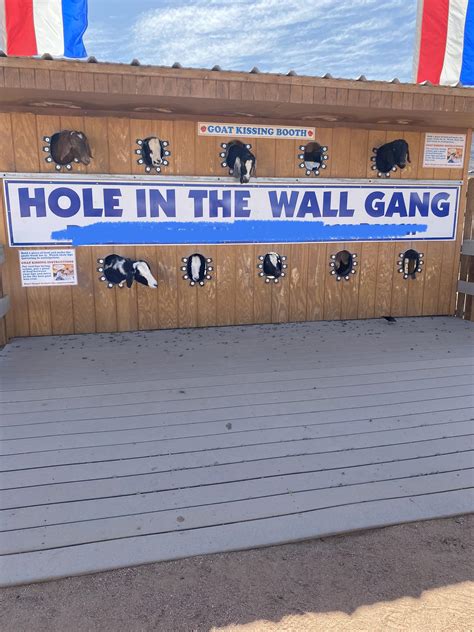 Boney Goats having a tough time finding gigs in the pandemic : bodegaboys