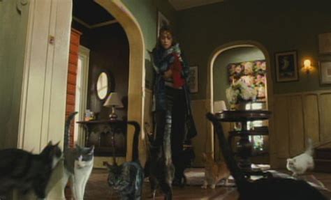 Uncovering The Legacy Of Catwoman A 2004 Revival Where Are The Cats