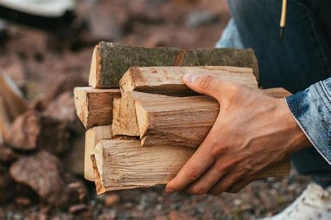 Українці отримають безкоштовні дрова для обігріву будинків