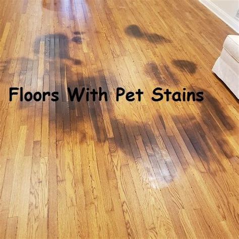 how to clean pet urine from wood floors