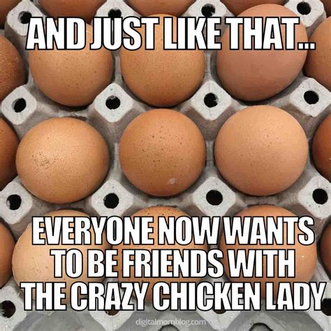 25 Funny Egg Memes About Egg Prices That Will Crack You UP!