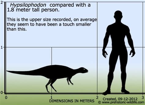 Hypsilophodon Pictures & Facts - The Dinosaur Database