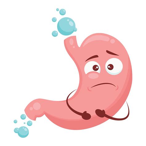 Bloated stomach cartoon character illustration isolated on white