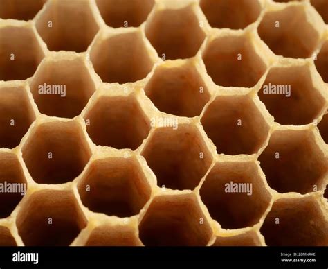 Close up of bee hive honey bee hexagonal cells Stock Photo - Alamy