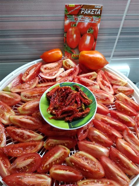 Томат Ракета: описание сорта, ОТЗЫВЫ (16), фото | tomatland.ru