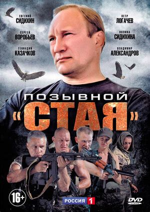 Позывной «Стая» (сериал, 1 сезон, все серии), 2013 — описание ...