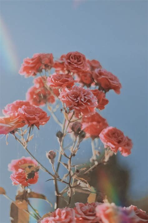 70 Aesthetic Images Unsplash | IwannaFile News