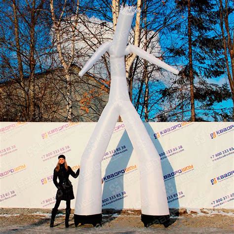 Купить Аэромена
