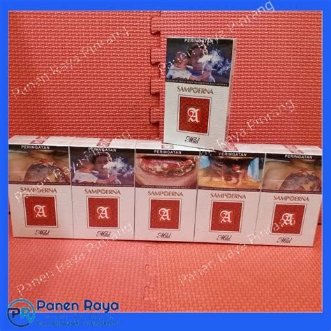 sampoerna  mild  panen