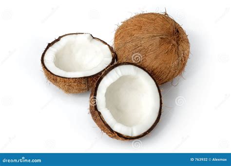 The Coconut Is Still On The Coconut Tree. Royalty-Free Stock Photo ...