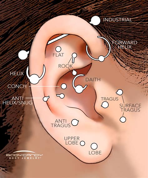 Beyond The Basics: The Ultimate Guide To Ear Piercing Names & Their ...