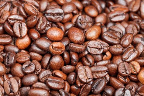 light roasted coffee beans close  stock photo image  espresso