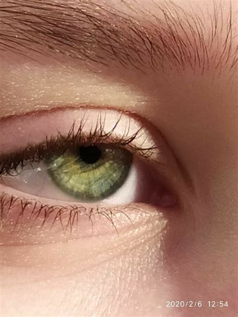 Gorgeous Eyes, Pretty Eyes, Cool Eyes, Hazel Green Eyes, Jade Eyes ...