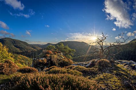 urig foto bild natur landschaft germany bilder auf fotocommunity