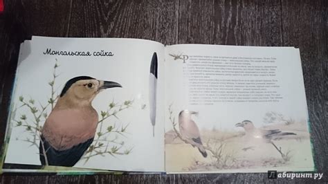 Книга: Ворона и ее родственники - Владимир Бабенко. Купить книгу ...
